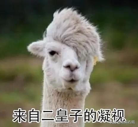 庆余年辛芷蕾口红色号,庆余年银光粉口红