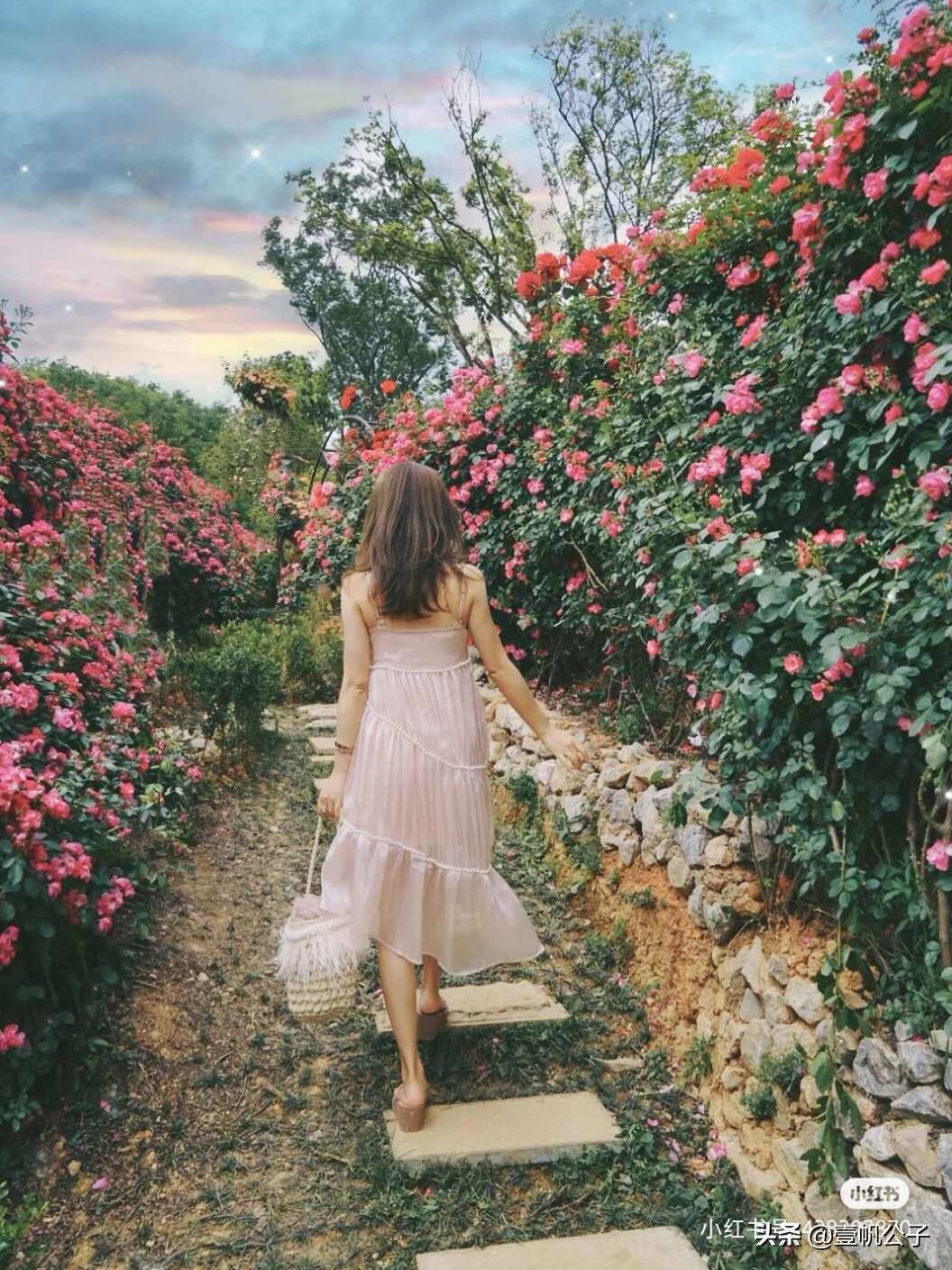 被大理的美景所折服,被丽江的风景美到了