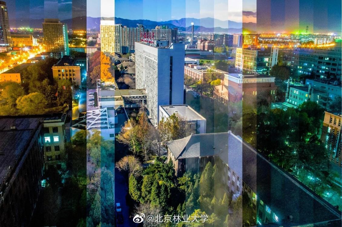 北京“绿色学府”:占地13176亩,坐拥8大餐厅,新华社、中央电视台聚焦关注!