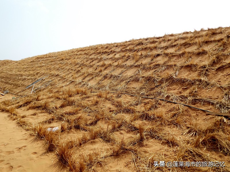 宁夏沙坡头旅游攻略,宁夏沙坡头游记