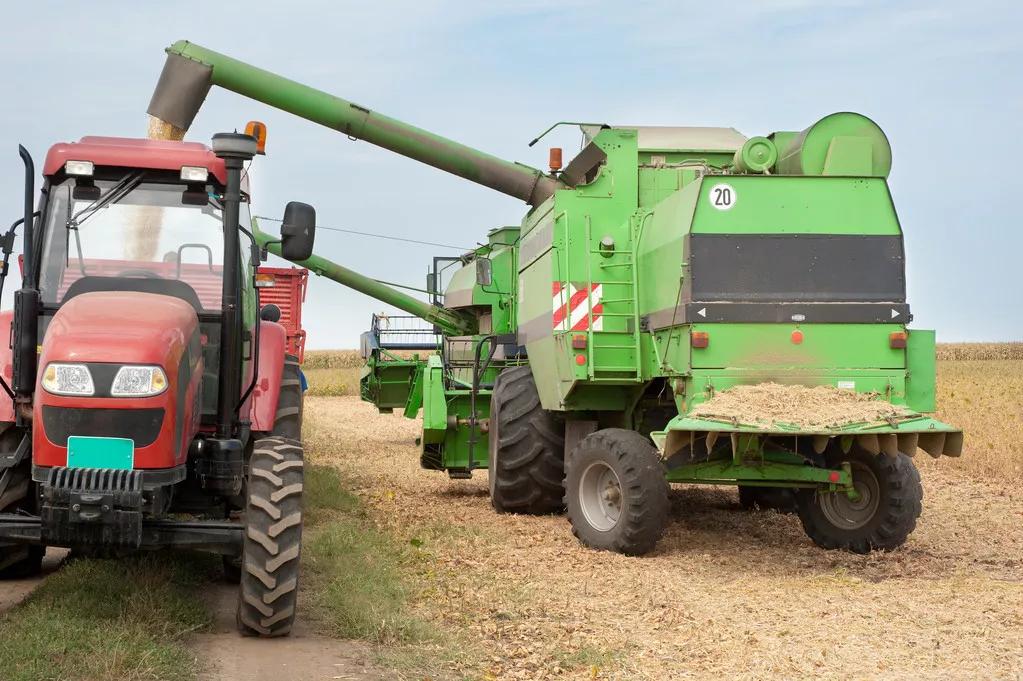 中国的大豆怎么样了,中国大豆产业的现状