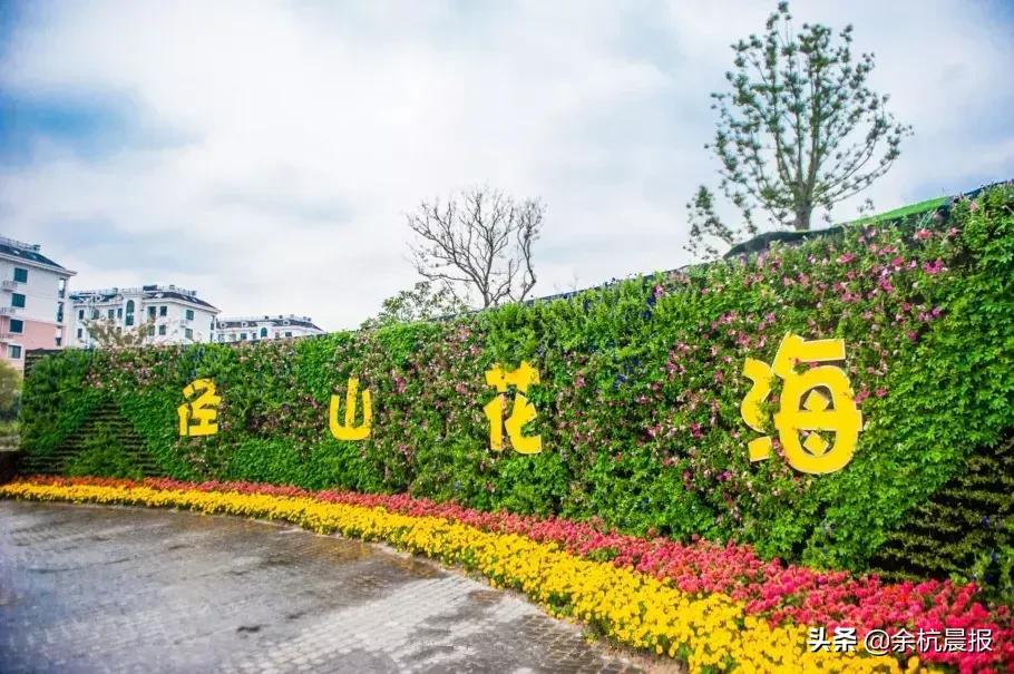 519哪些地方半价,519旅游日免门票