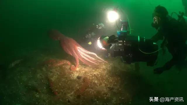 硬核科普全部,硬核科普大全视频