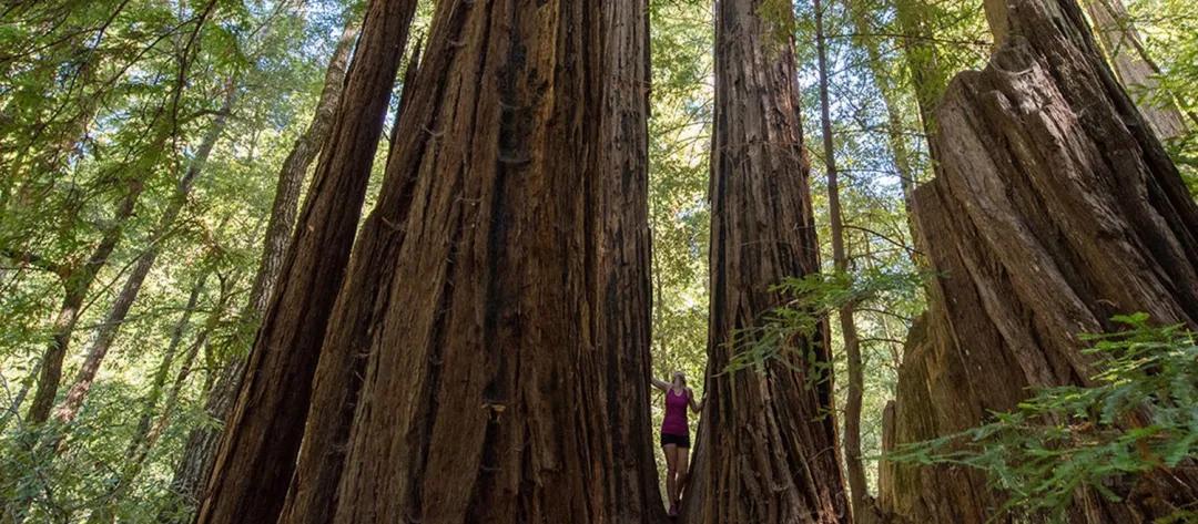 美国圣何塞风景确实优美空气宜人,圣何塞自然风景