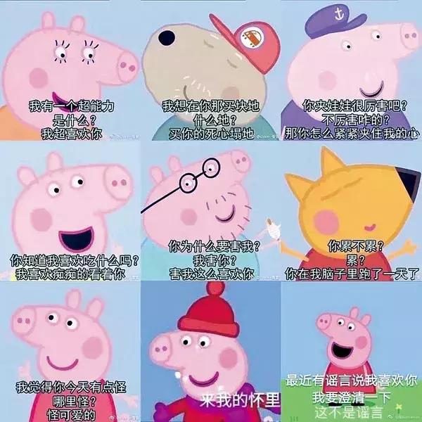 猪年说猪,猪年趣谈猪