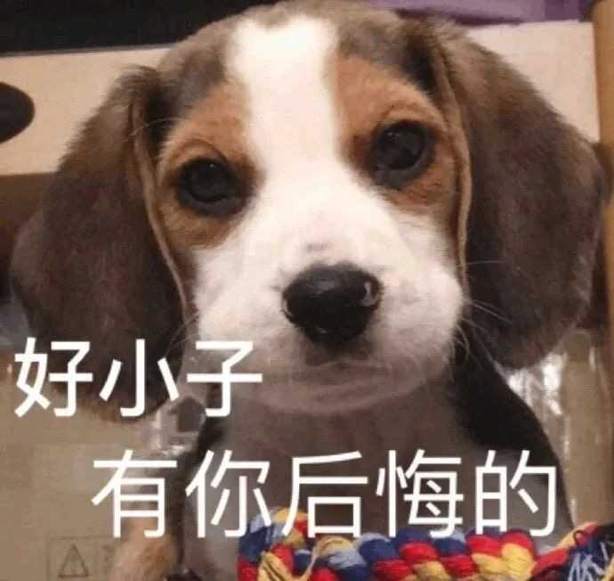 稳居文案,适合发朋友圈的憨憨文案