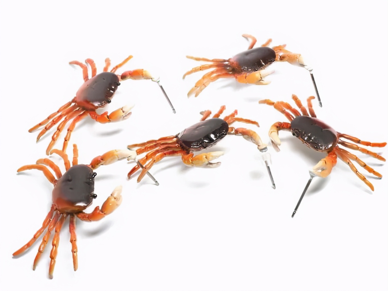 辣眼睛设计,辣眼睛衣服设计