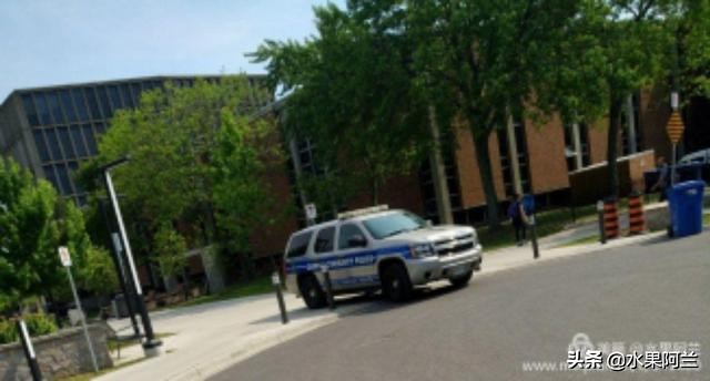 国际出行攻略,新西兰旅游攻略租车