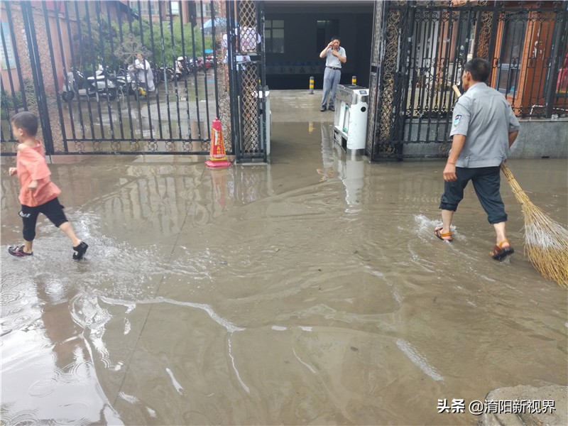 南阳八月七日下午这场雨，说来就来也不给你打个招乎