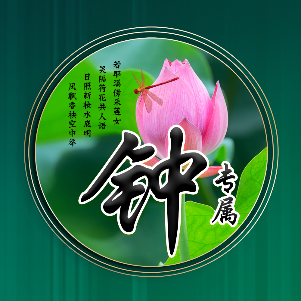 100张唯美荷花姓氏头像,适合做头像的荷花图片清晰点的