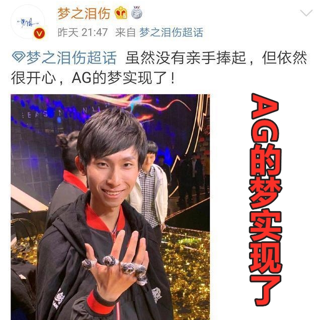 王者荣耀世冠杯agvsts梦泪,王者荣耀ag梦泪复出