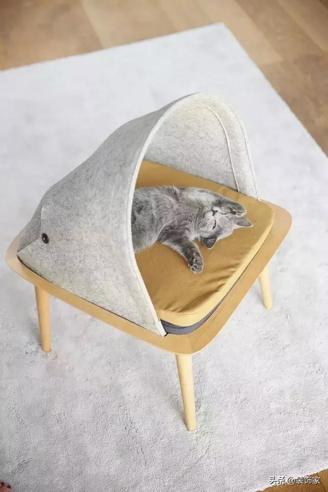 铲屎官最爱的客厅方案,铲屎官最满意的卧室装饰