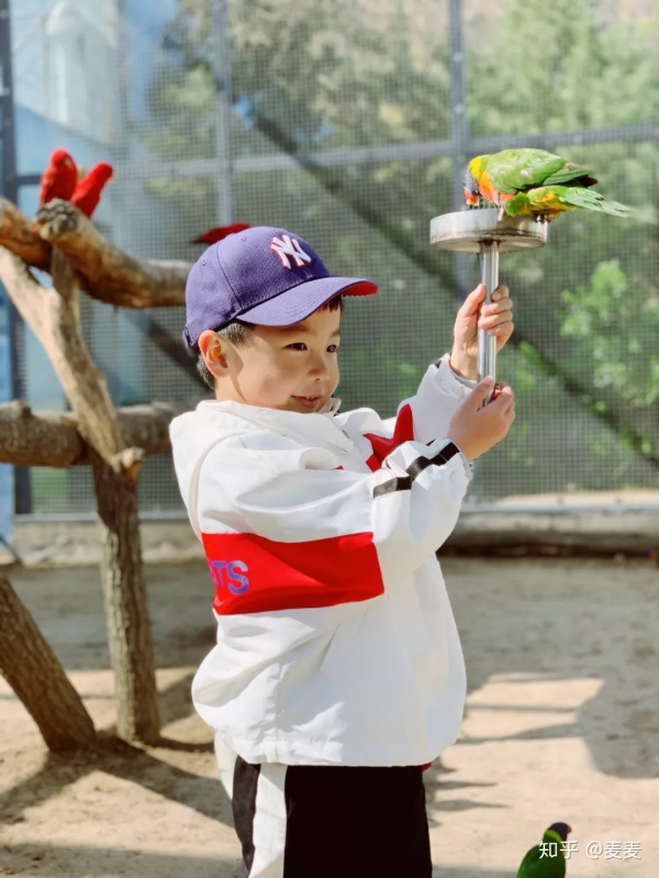 野生动物园长隆游玩攻略,野生动物园长隆攻略图片