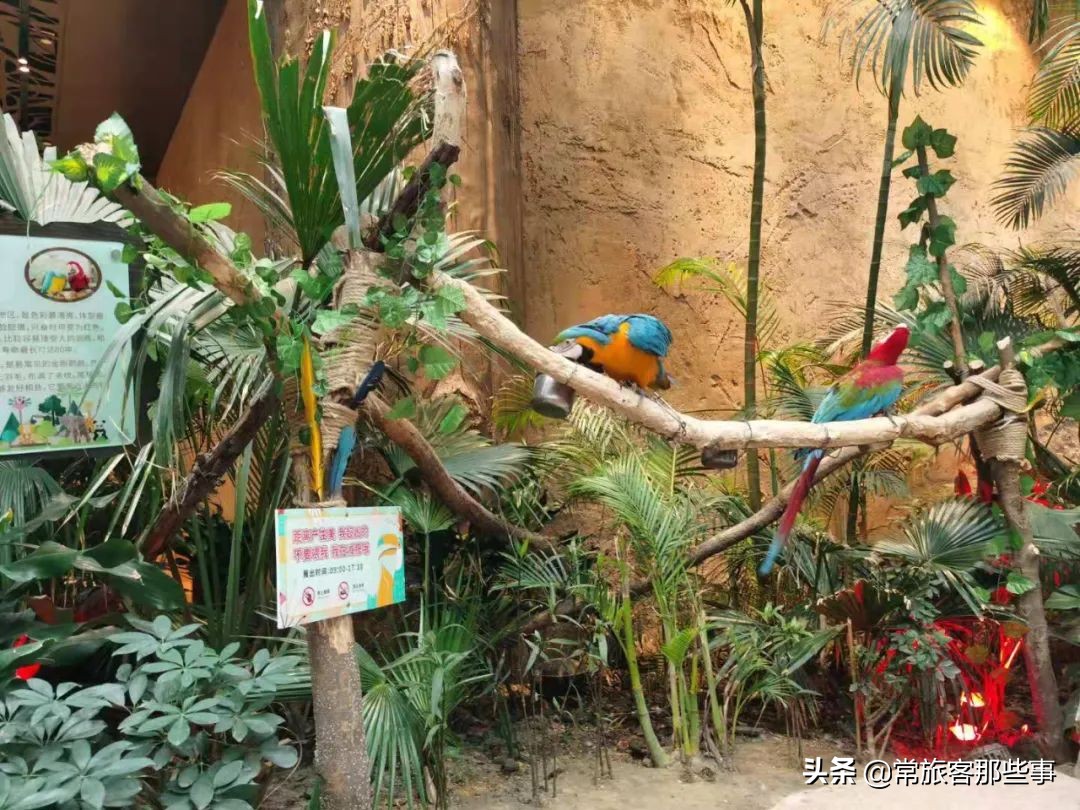 杭州开元森泊怎么样,杭州度假开元森泊