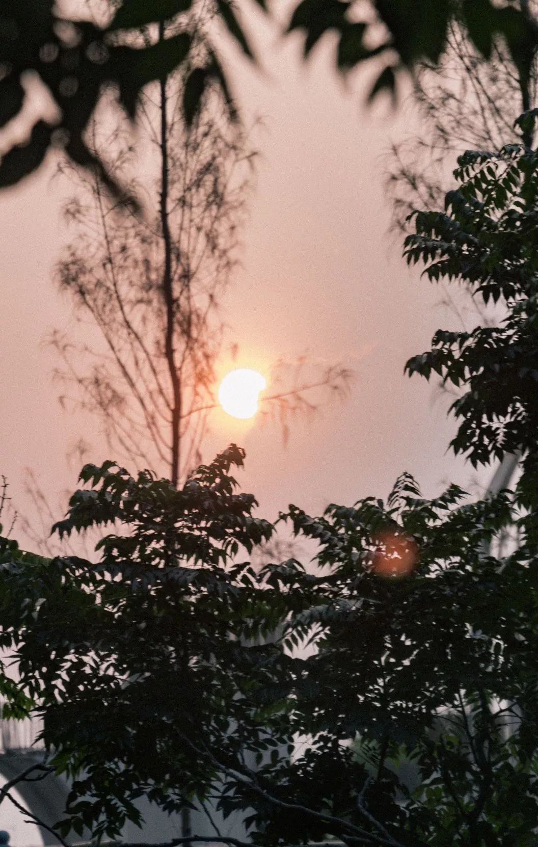 深圳风景最好的岛,深圳有个什么旅游岛