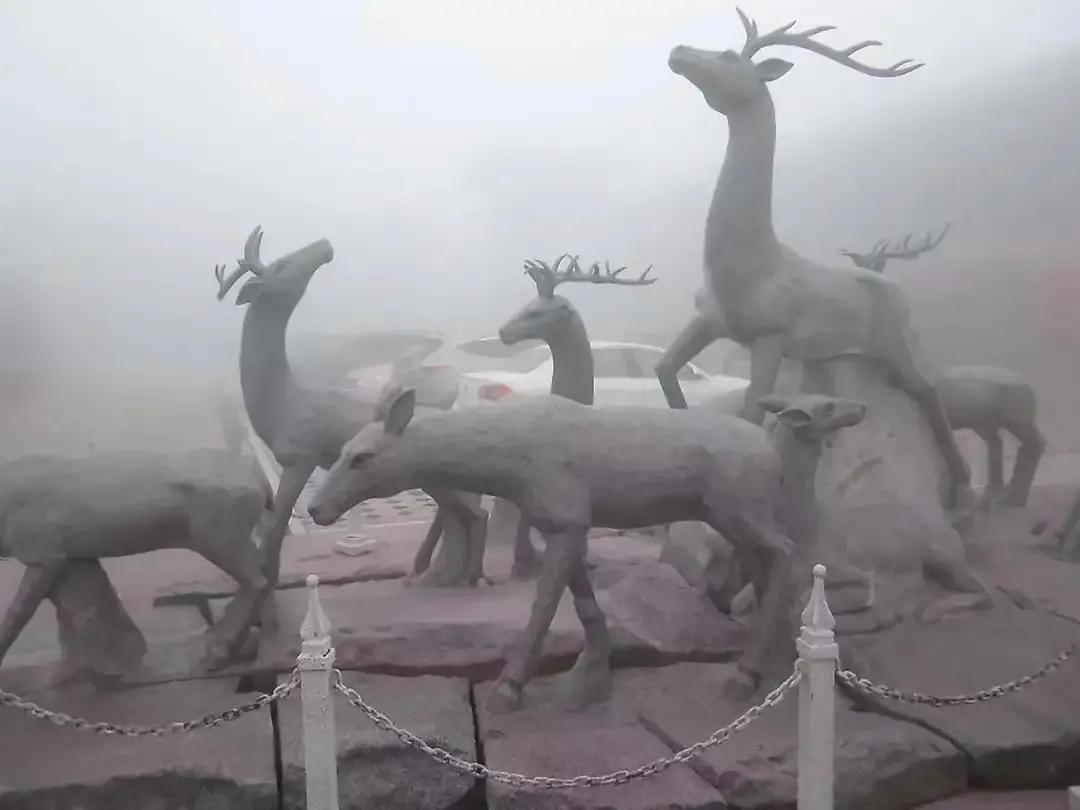 永泰云顶大峡谷门票,雾旅游视频