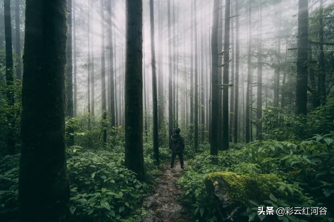 中国云南哪里好看,云南的云彩为什么好看