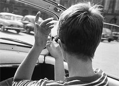 烂番茄指数90以上的欧美剧,烂番茄评分新剧