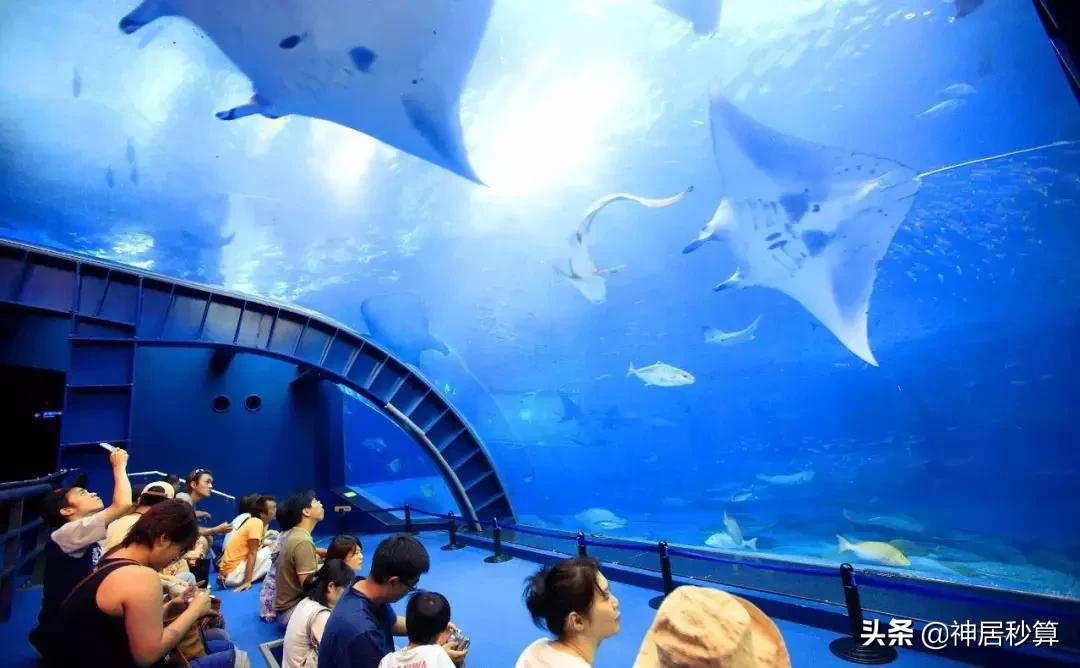 冲绳夏日,冲绳的夏天