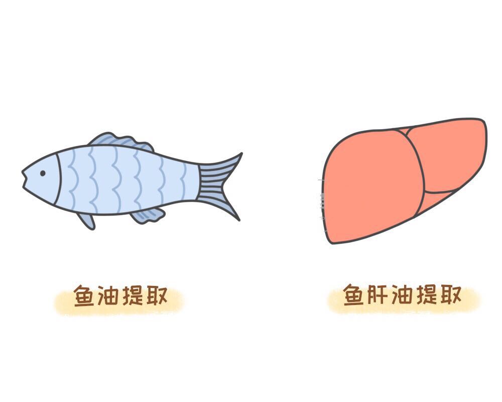 add3鱼油鱼肝油dha傻傻分不清,d3鱼肝油和鱼油还有dha有区别吗