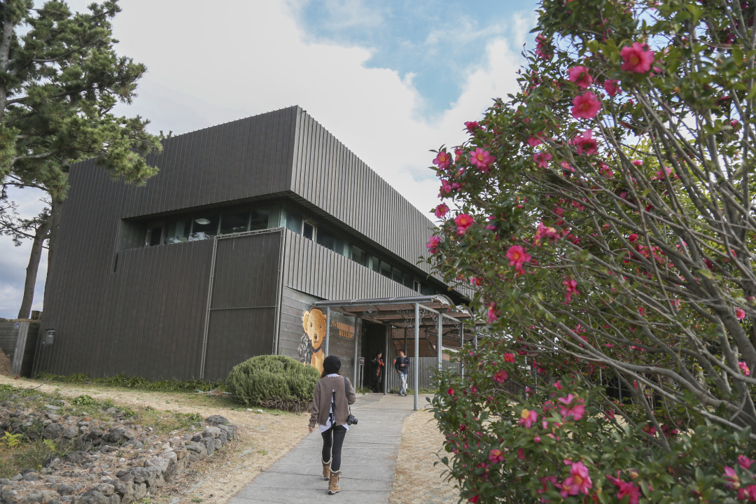 济州岛四天三晚旅游攻略,济州岛四天三晚旅游攻略图