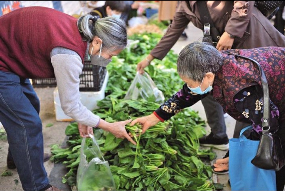 疫情不能出门就在家种菜,疫情不出门可以出门买菜吗