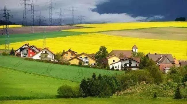 2019三农发展新闻报道,2019年三农新闻视频