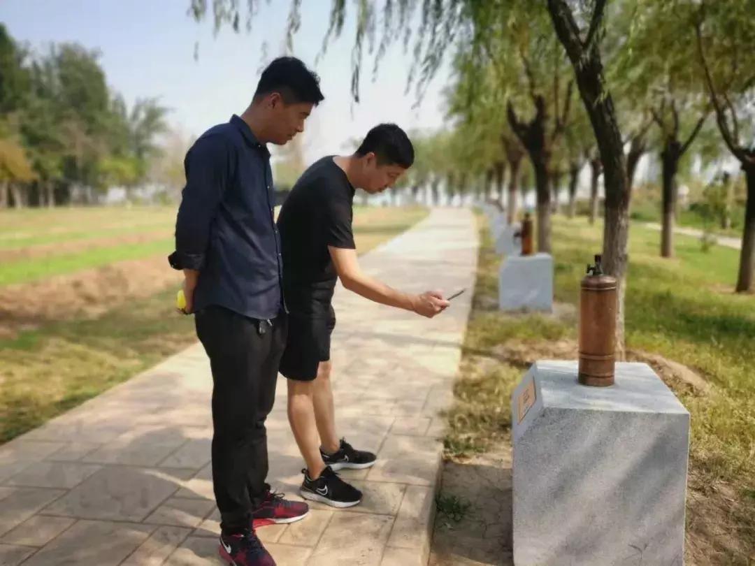 邯郸有什么网红地方,邯郸10大免费公园