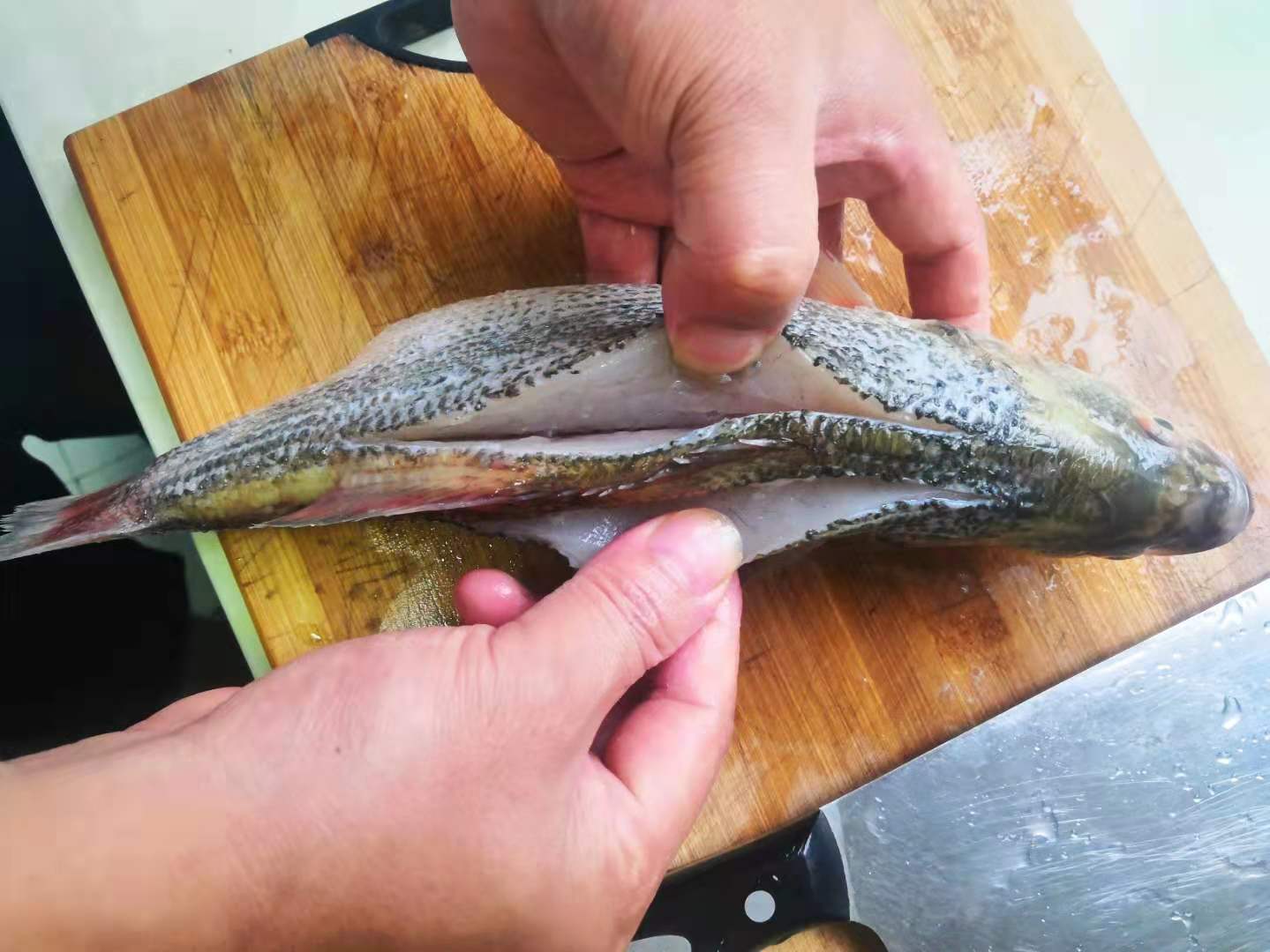 清蒸鱼正确做法步骤及时间,清蒸鱼八分钟小窍门教你一看就懂