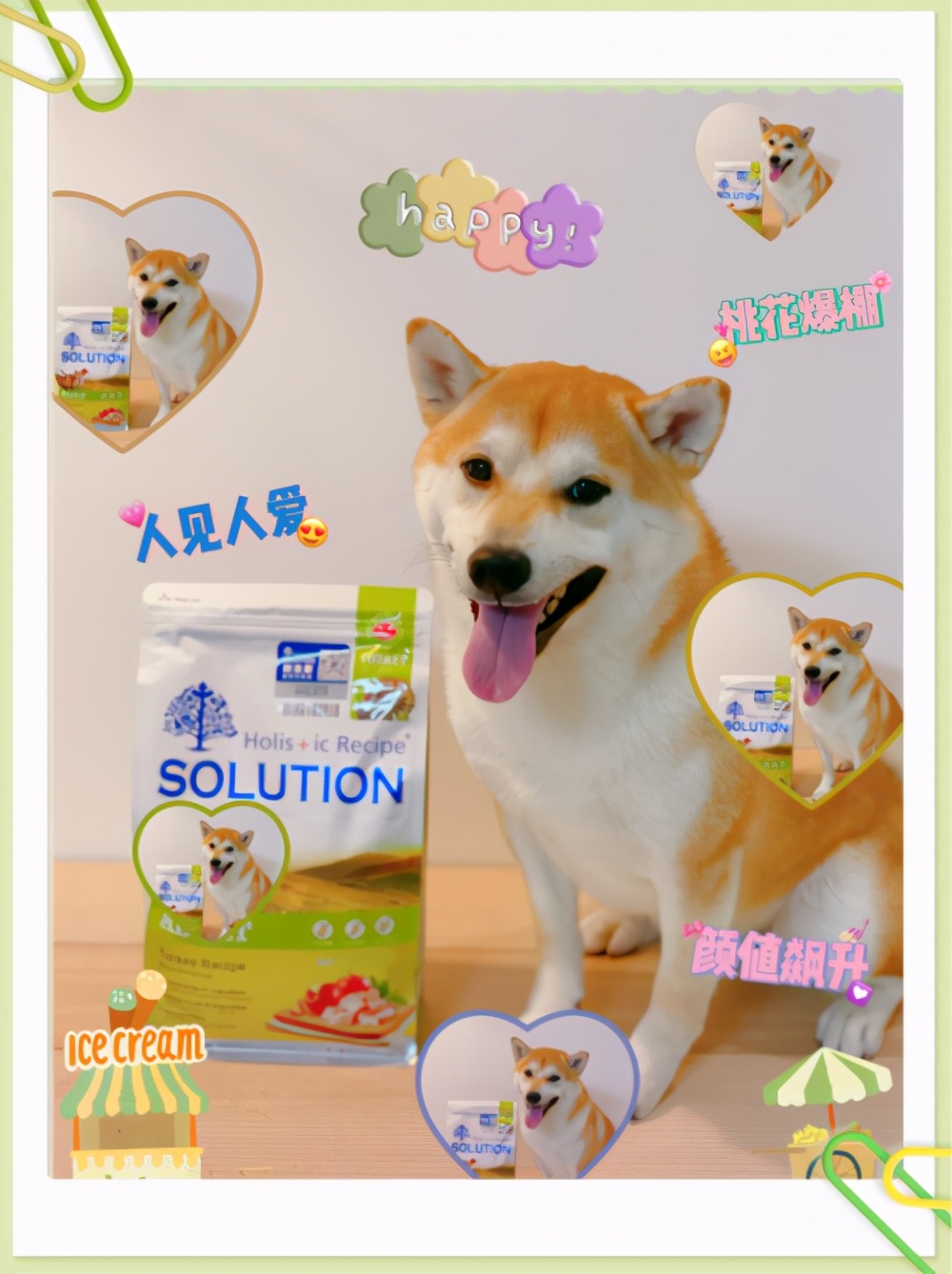 耐吉斯的狗粮好不好,耐吉斯狗粮和k9哪个好些