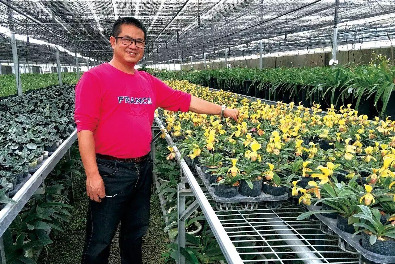 大叔种5亩麦子卖了多少钱,大叔种菜一年5000万