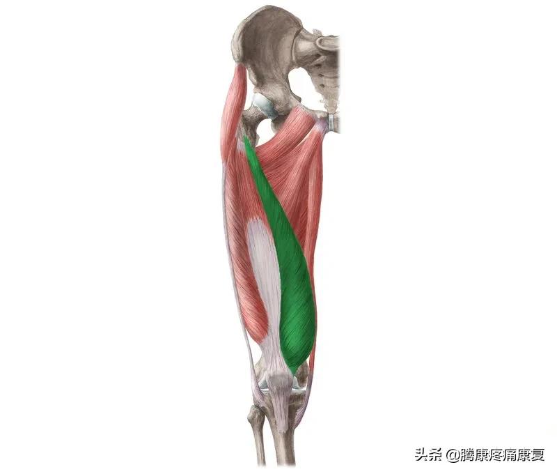 髌股关节疼痛综合症的检测方法,髌股关节疼痛综合征