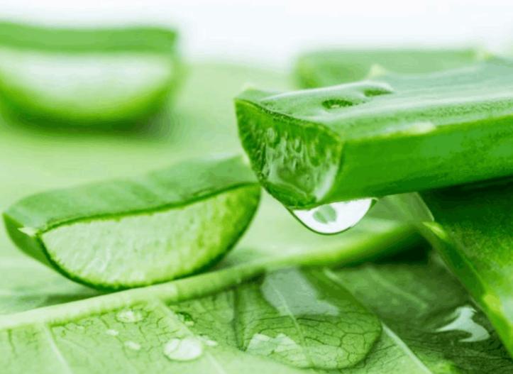 迪奥变色唇膏平替？泰国又出高性价比好物，润唇提气色两不误