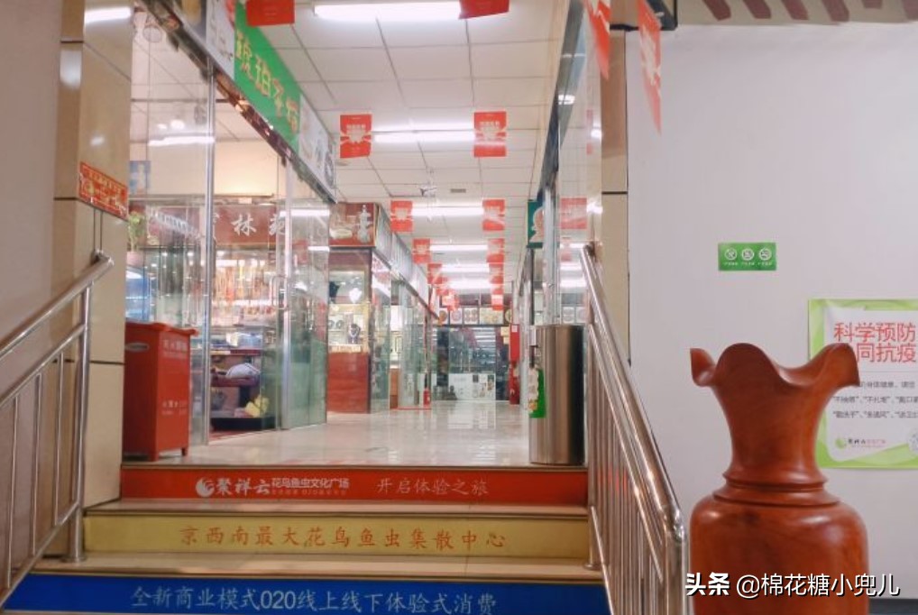 北京盆栽花卉批发市场,北京众兴花卉批发市场