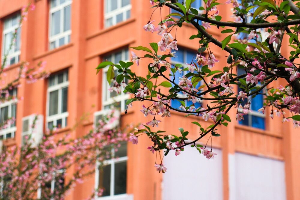 全省首家！湖北日报官方“点名”！这个“芯”学院实力出众