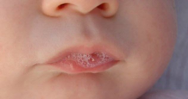 唾液的小用处,唾液的九大功能