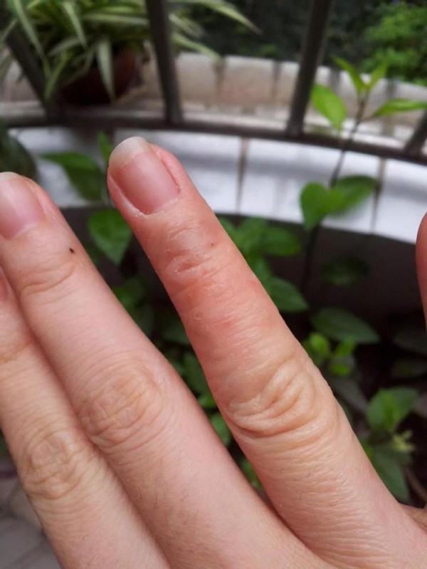 安发甘诺宝力的真实感受,安发国际甘诺宝力有权威吗