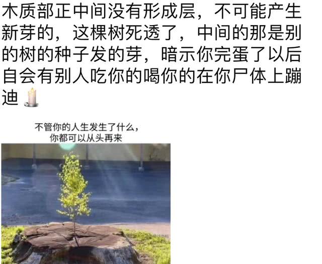 最奇葩的梦话是什么,你听说的最搞笑的梦话