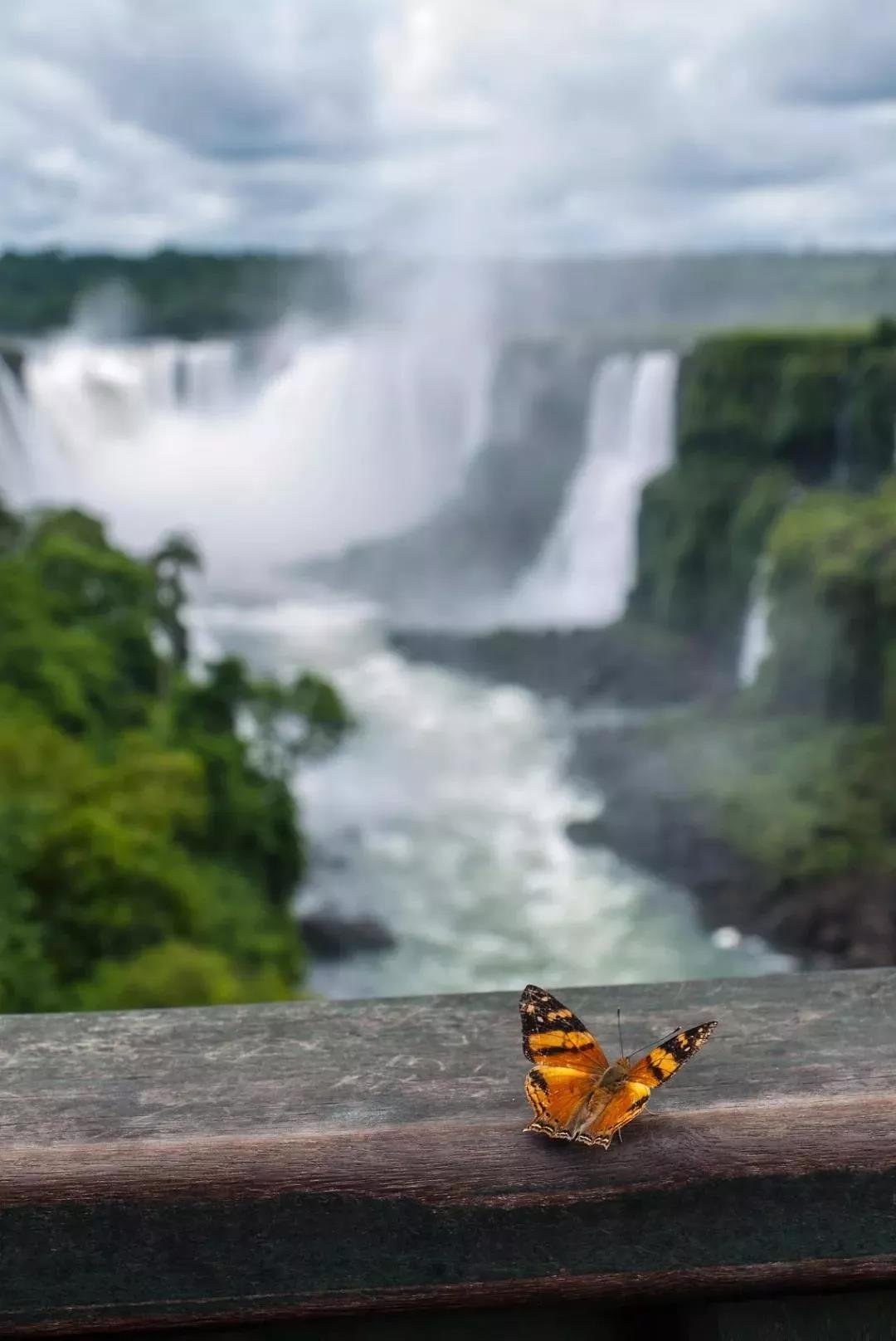 巴西的国庆节在几月几日,巴西国庆节是几月几日