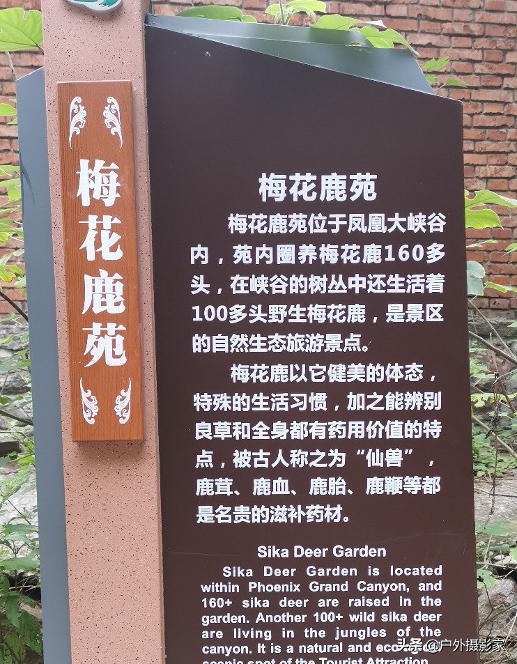 我的户外日记视频,我的户外日记旅游