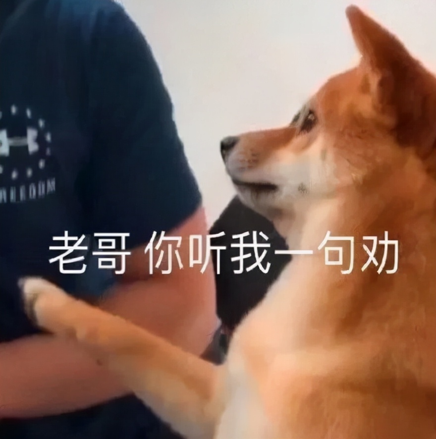 为什么贴吧会那么多人,贴吧什么时候开始存在的