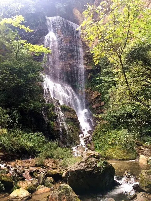 神农架大九湖最美雪景,神农架神农顶大九湖
