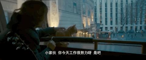 绁ㄦ埧榛戦┈鐩樼偣,绁ㄦ埧榛戦┈鍗囩骇鍥炲綊