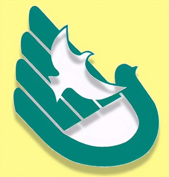 华附和华师附有什么不同,华师和华附系的区别