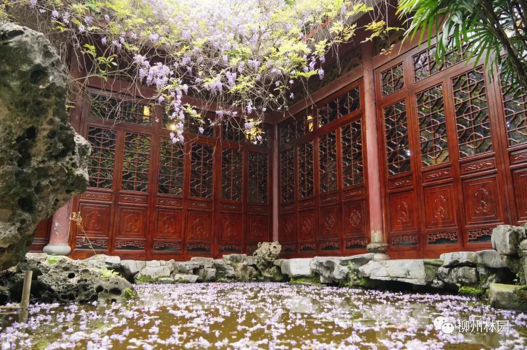 柳州柳侯公园有什么景物,柳州柳侯公园值得打卡