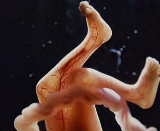 怀孕1到9个月的过程图片,孕早期辛苦了的图片