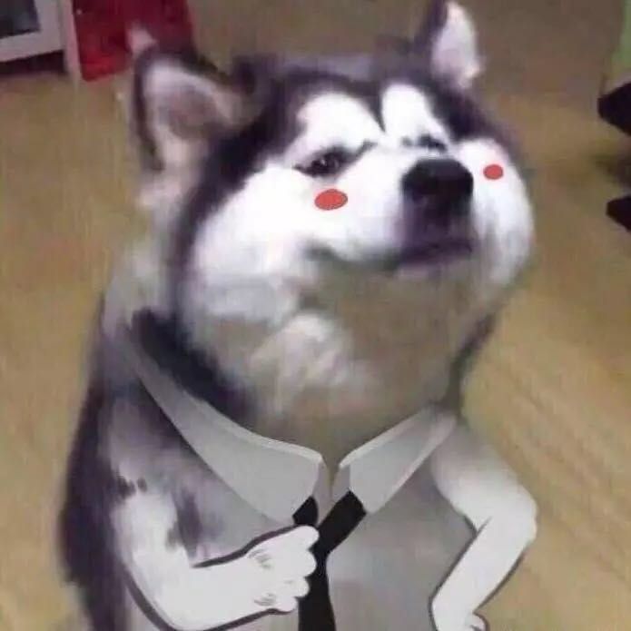 韩语和日语哪个自学更简单,韩语速成和日语哪个好学