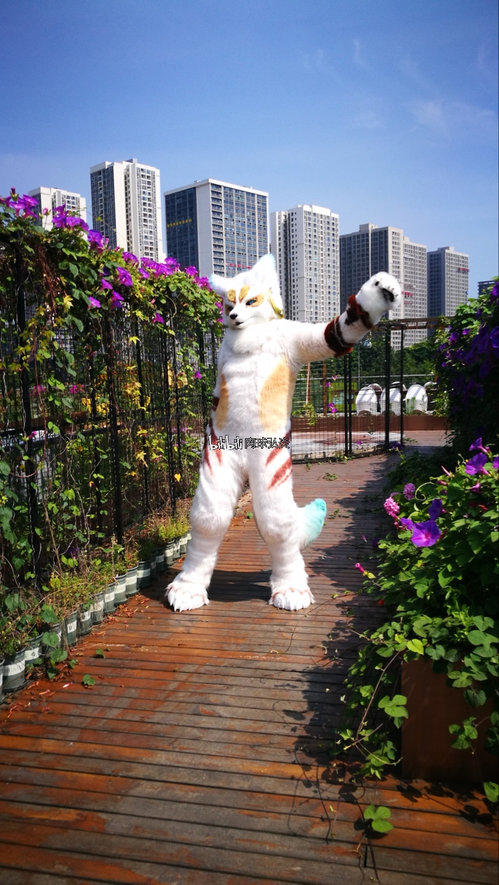 杂图系列（*男猛**系列：兽人furry第一弹）#1