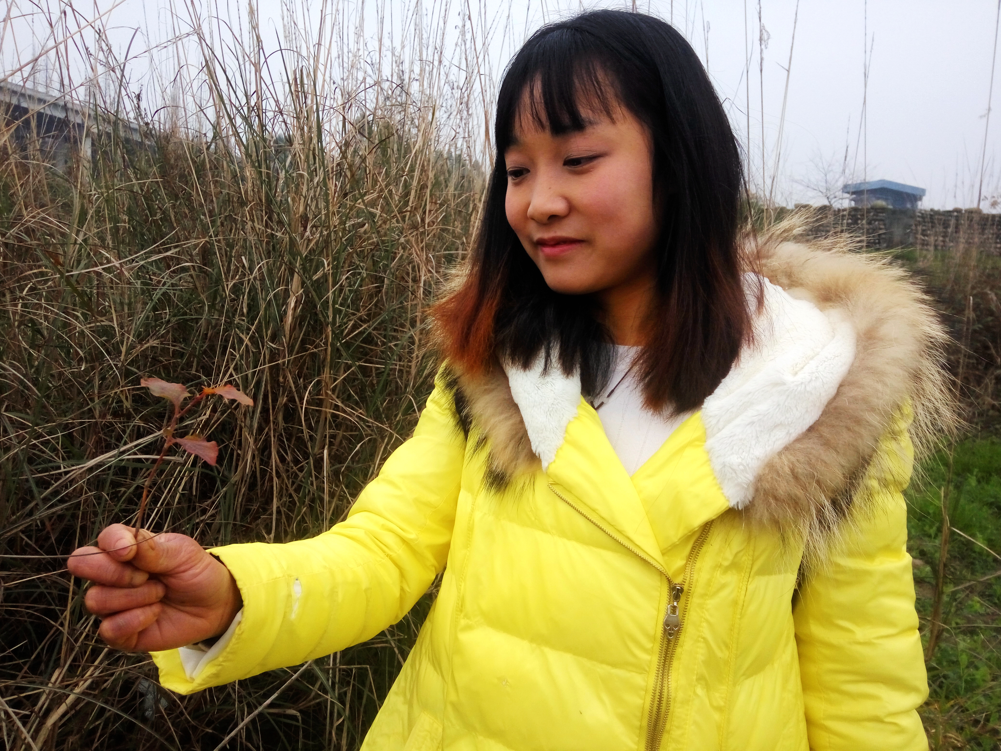 四川洪雅：这个“黑妹”不简单年纪轻轻当老板