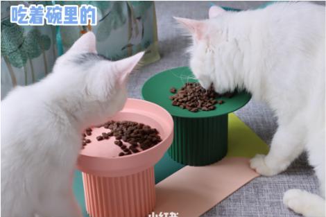 小红书推荐猫粮,猫粮小红书达人